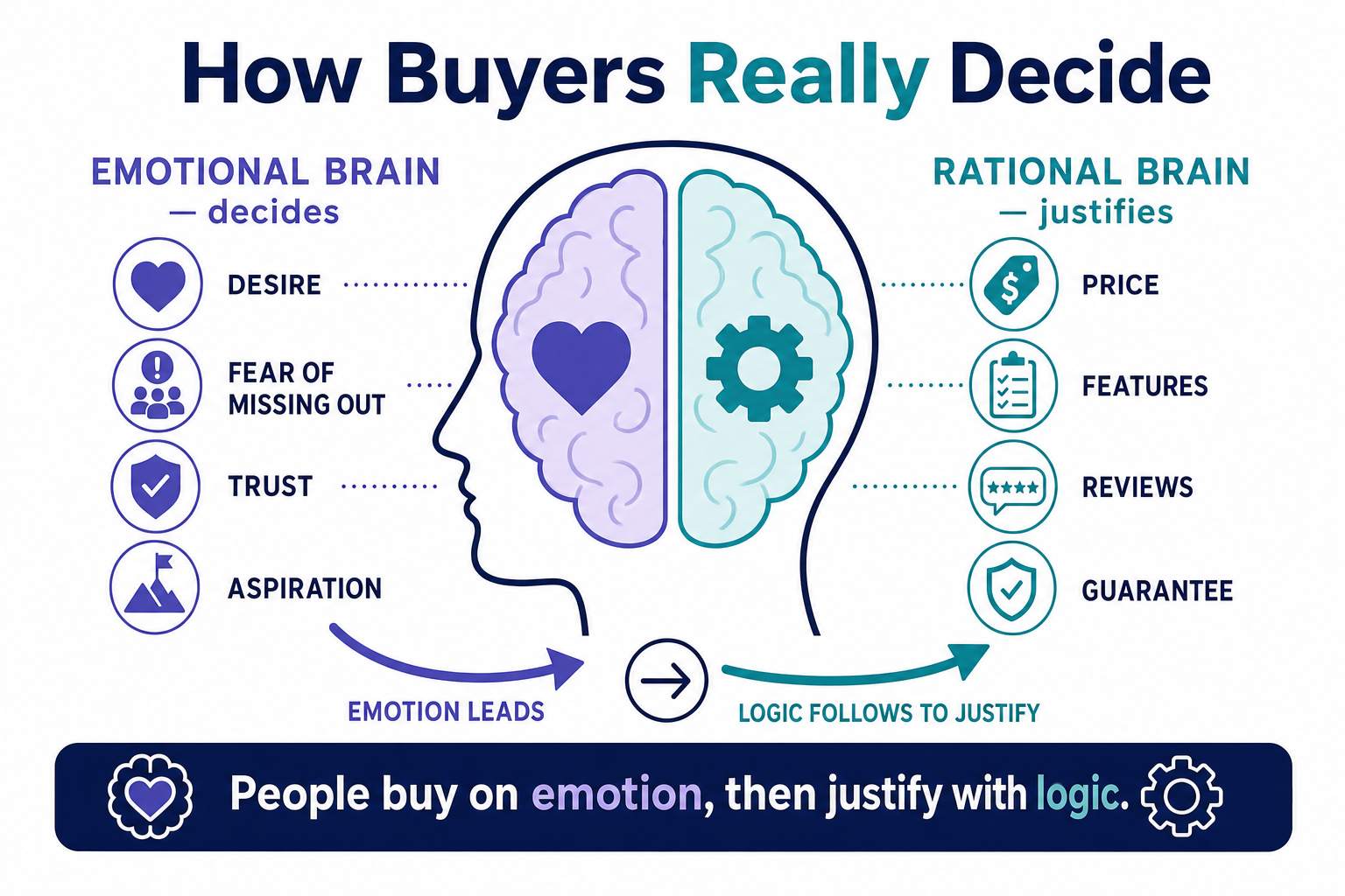Infographic of a head split into an emotional brain that decides and a rational brain that justifies, showing people buy on emotion then justify with logic.